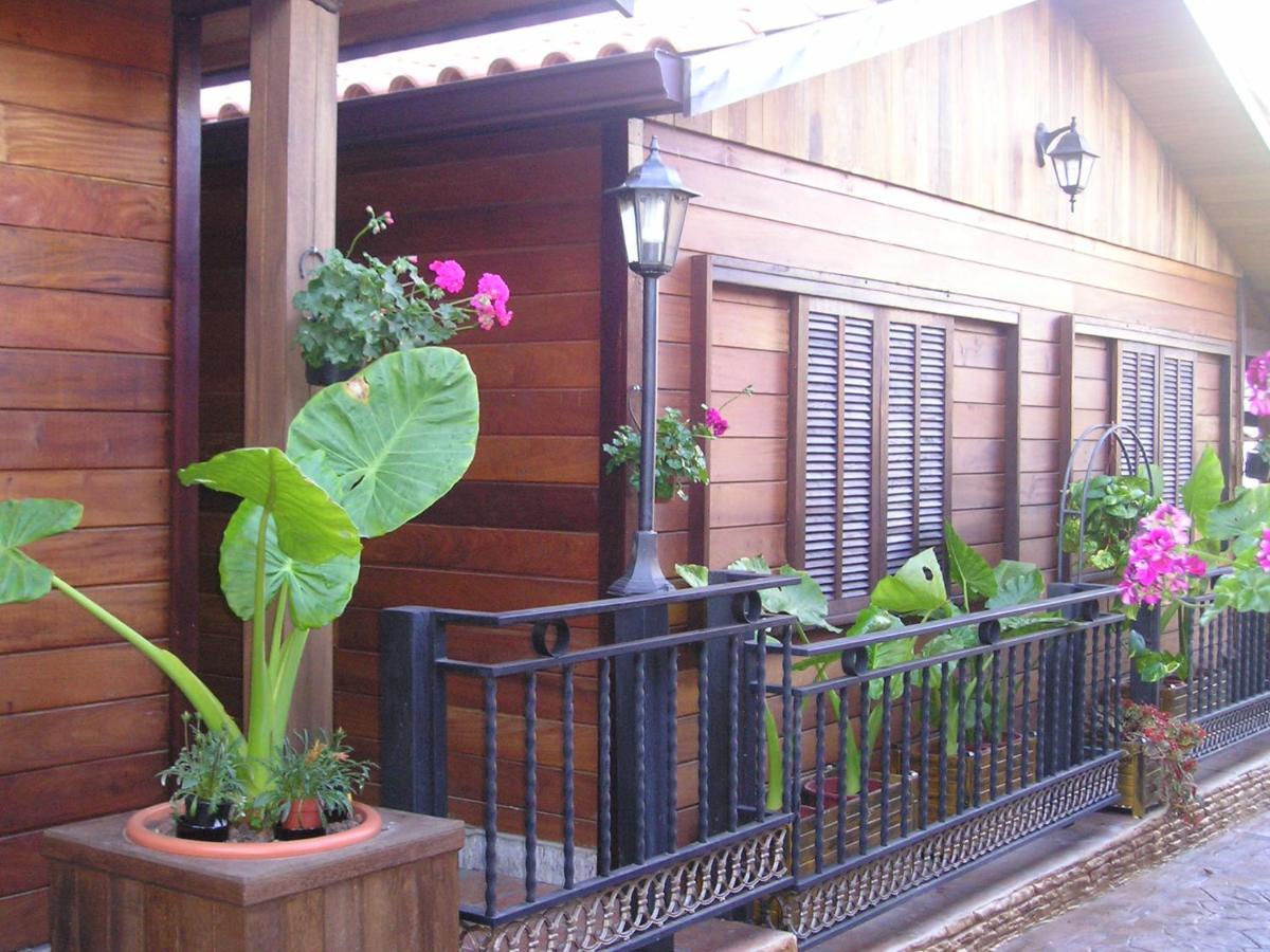 Cabañas Valle Verde Moya  Exterior foto