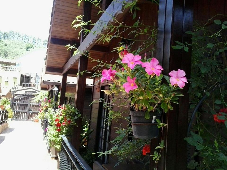 Cabañas Valle Verde Moya  Exterior foto