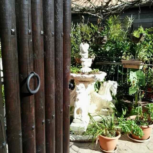 Cabañas Valle Verde Moya  Exterior foto